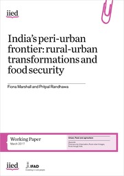 Rural-urban transformations and food security in India: the challenges and opportunities of peri-urbanisation